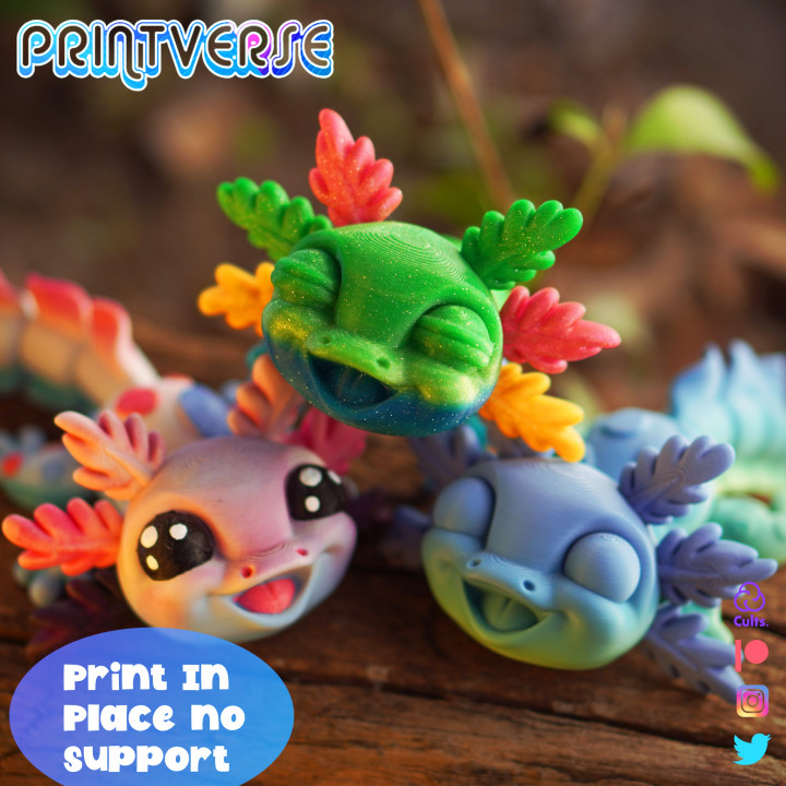 图片[3]-Printverse 可爱幼年美西螈-3D合纵社-3D打印模型STL格式3mf格式免费下载！