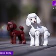 HappyFlexiPets 露娜 贵宾犬-3D合纵社-3D打印模型STL格式3mf格式免费下载！