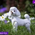 图片[2]-HappyFlexiPets 露娜 贵宾犬-3D合纵社-3D打印模型STL格式3mf格式免费下载！