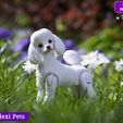 图片[4]-HappyFlexiPets 露娜 贵宾犬-3D合纵社-3D打印模型STL格式3mf格式免费下载！