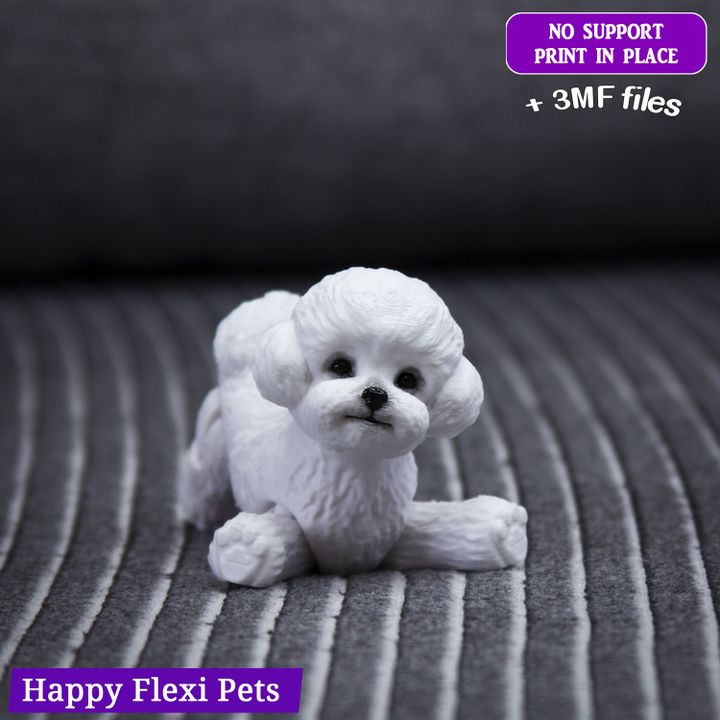 图片[3]-Happy Flexi pets 玩具贵宾犬 – 比熊犬-3D合纵社-3D打印模型STL格式3mf格式免费下载！