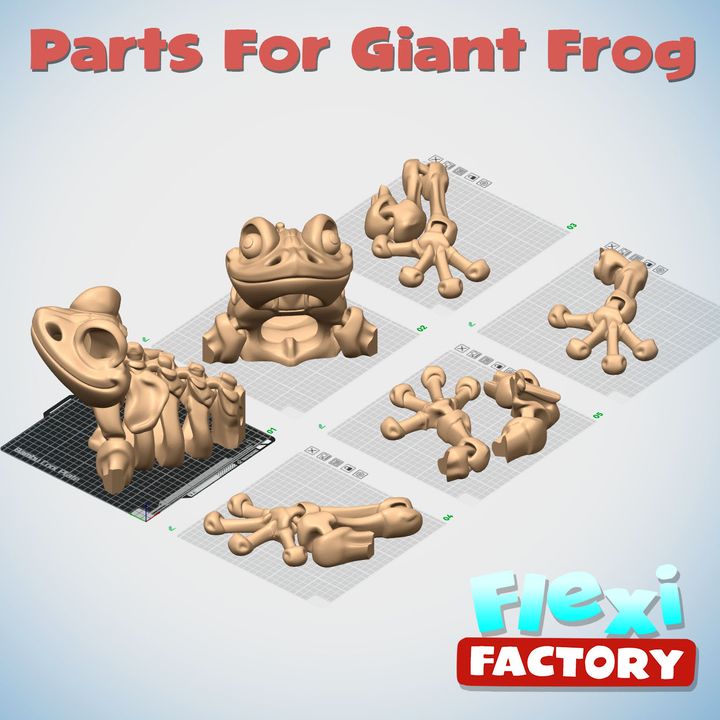 图片[2]-Flexi Factory 骨架青蛙-3D合纵社-3D打印模型STL格式3mf格式免费下载！