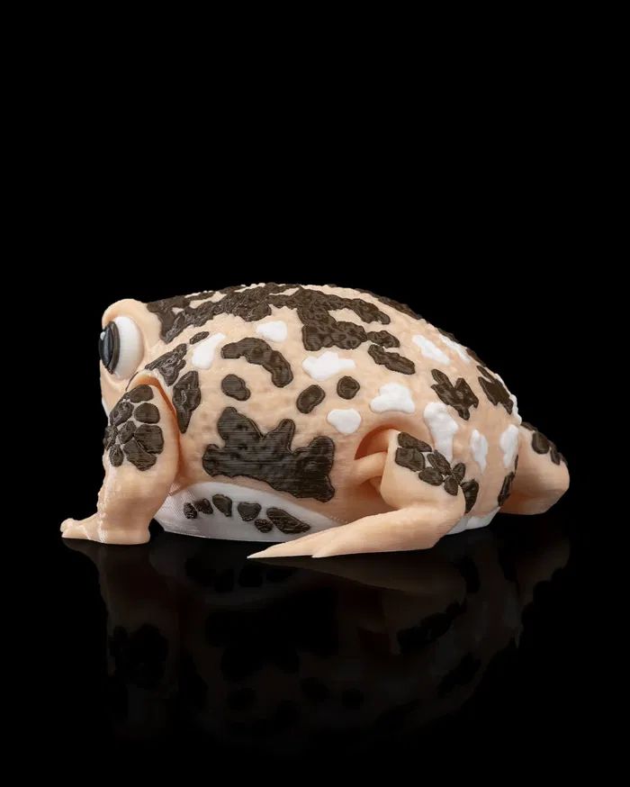 图片[3]-雨蛙-3D合纵社-3D打印模型STL格式3mf格式免费下载！