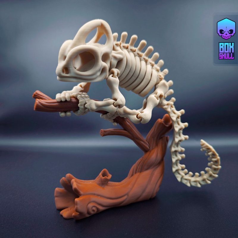 骨架变色龙 BoxSkull3D- Skeleton Chameleon-3D合纵社-3D打印模型STL格式3mf格式免费下载!