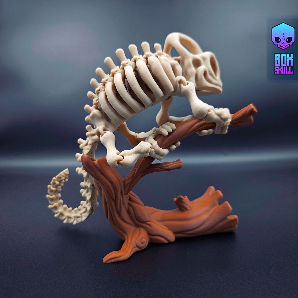 图片[2]-骨架变色龙 BoxSkull3D- Skeleton Chameleon-3D合纵社-3D打印模型STL格式3mf格式免费下载！