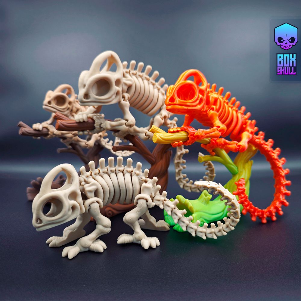 图片[3]-骨架变色龙 BoxSkull3D- Skeleton Chameleon-3D合纵社-3D打印模型STL格式3mf格式免费下载！