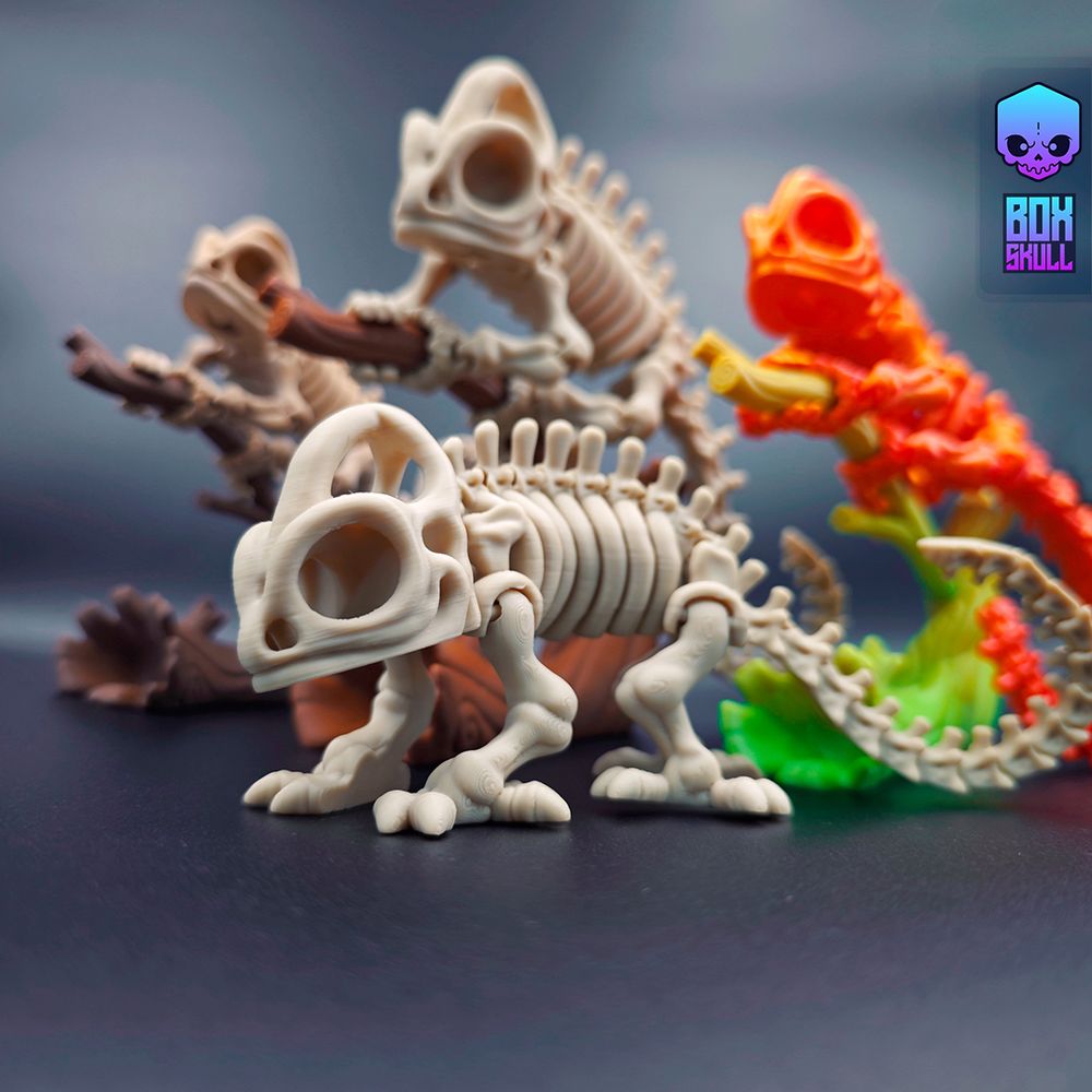 图片[4]-骨架变色龙 BoxSkull3D- Skeleton Chameleon-3D合纵社-3D打印模型STL格式3mf格式免费下载！