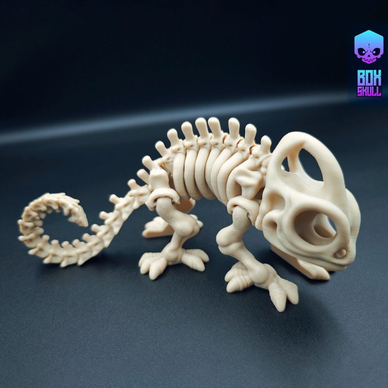 骨架变色龙BoxSkull3D- Skeleton Chameleon-3D合纵社-3D打印模型STL格式3mf格式免费下载!