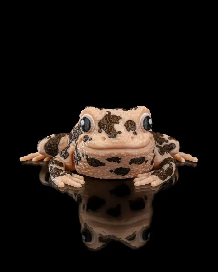 图片[4]-美国地蛙 American Ground Frog-3D合纵社-3D打印模型STL格式3mf格式免费下载！