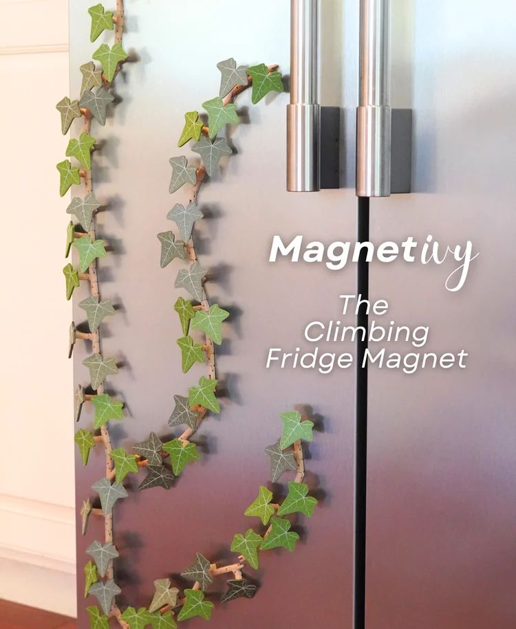 图片[2]-常春藤Magnetivy_English_Ivy_Fridge_Magnet_with_Articulating_Stems_Print-3D合纵社-3D打印模型STL格式3mf格式免费下载！