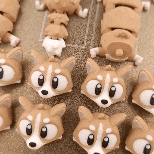 柴犬 Flexi Corgi Print-in-place-3D合纵社-3D打印模型STL格式3mf格式免费下载！