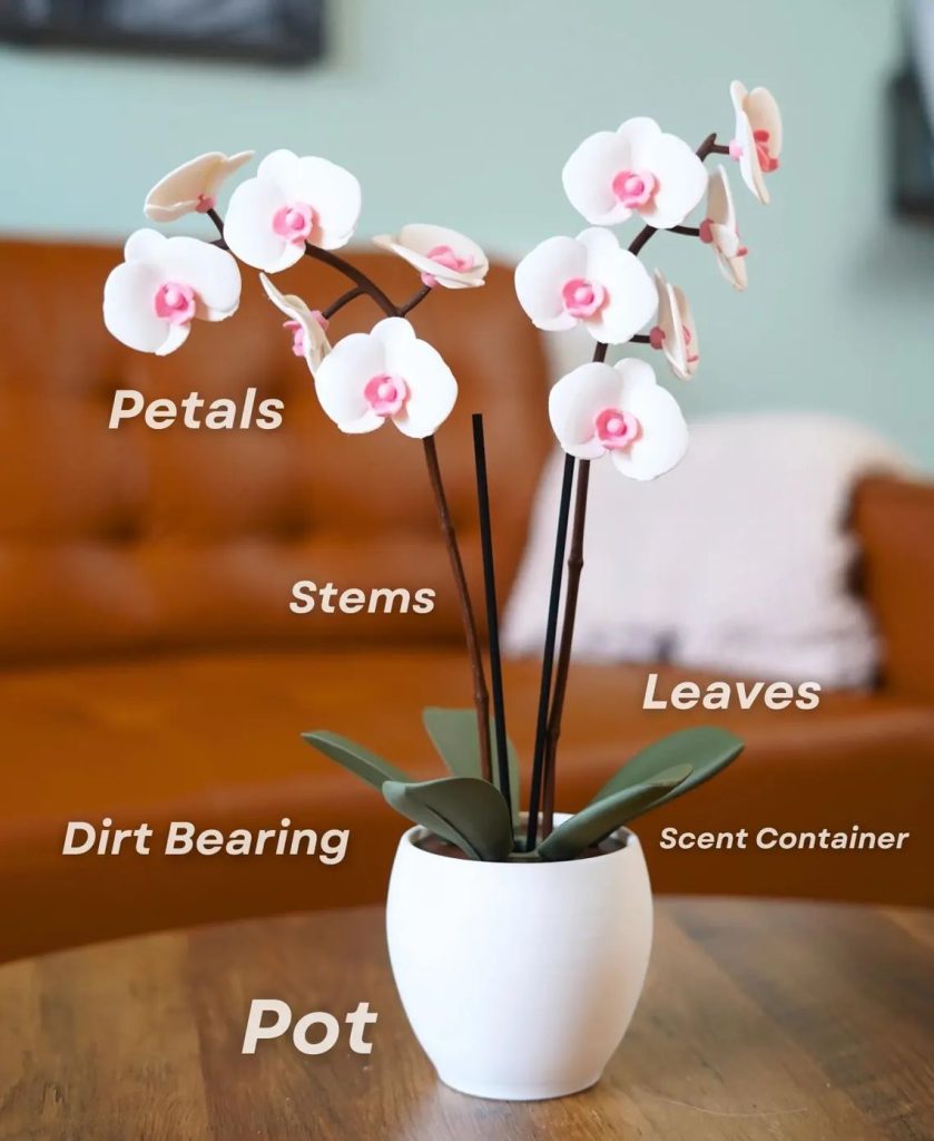 图片[4]-兰花 Aromatic_Orchid_Oil_Diffusor_and_Incense_Holder-3D合纵社-3D打印模型STL格式3mf格式免费下载！