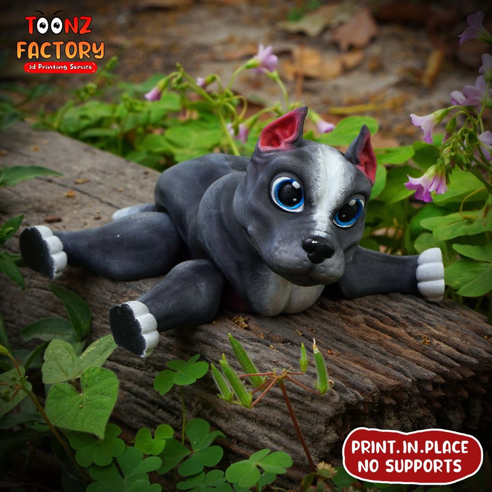 图片[3]-比特犬 PITBULL_PACKAGE-3D合纵社-3D打印模型STL格式3mf格式免费下载！