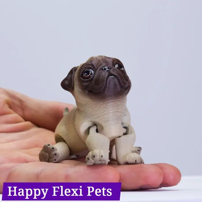 图片[4]-八哥犬 Barney_the_pug_v2.stl-3D合纵社-3D打印模型STL格式3mf格式免费下载！