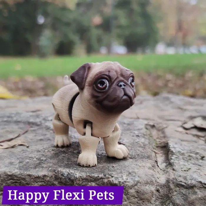 图片[3]-八哥犬 Barney_the_pug_v2.stl-3D合纵社-3D打印模型STL格式3mf格式免费下载！