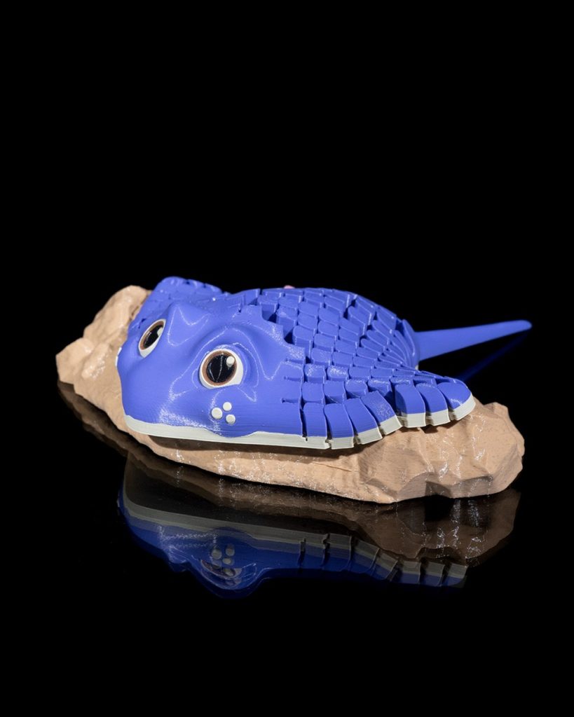 图片[4]-魔鬼鱼 Ray, the Manta Ray_Bambulabprinters-3D合纵社-3D打印模型STL格式3mf格式免费下载！
