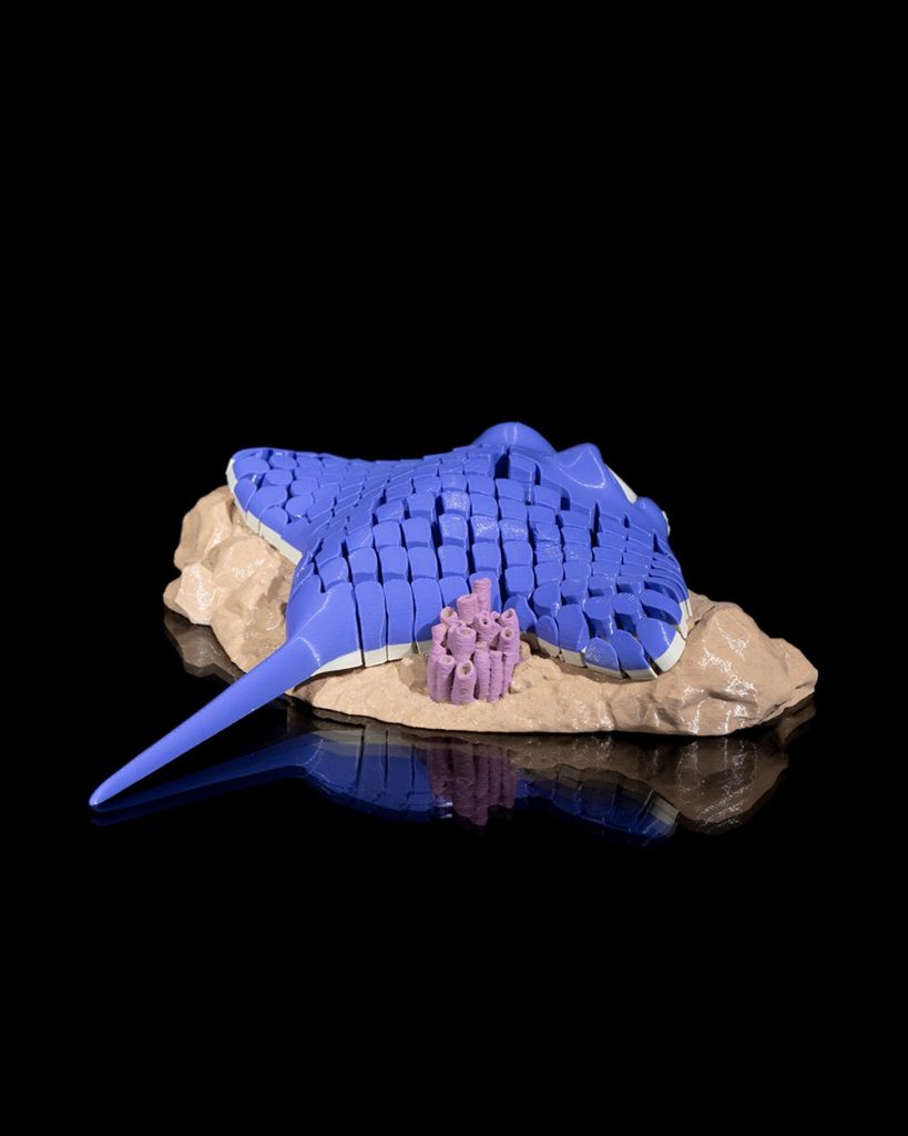 图片[3]-魔鬼鱼 Ray, the Manta Ray_Bambulabprinters-3D合纵社-3D打印模型STL格式3mf格式免费下载！