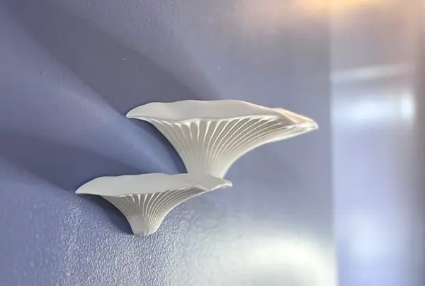 蘑菇墙架 吸磁 冰箱贴-3D合纵社-3D打印模型STL格式3mf格式免费下载！