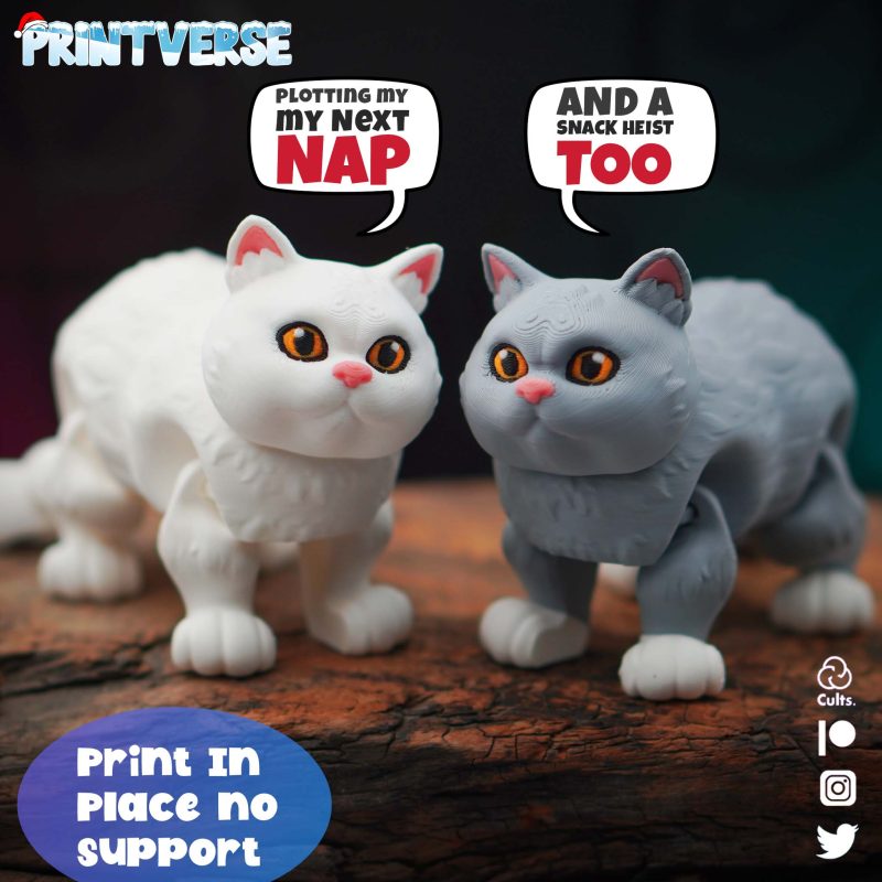 英短猫咪 英国3短毛猫-3D合纵社-3D打印模型STL格式3mf格式免费下载！