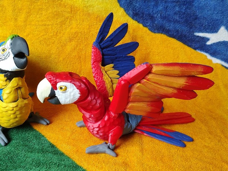 大金刚鹦鹉 Macaw Arara-3D合纵社-3D打印模型STL格式3mf格式免费下载！