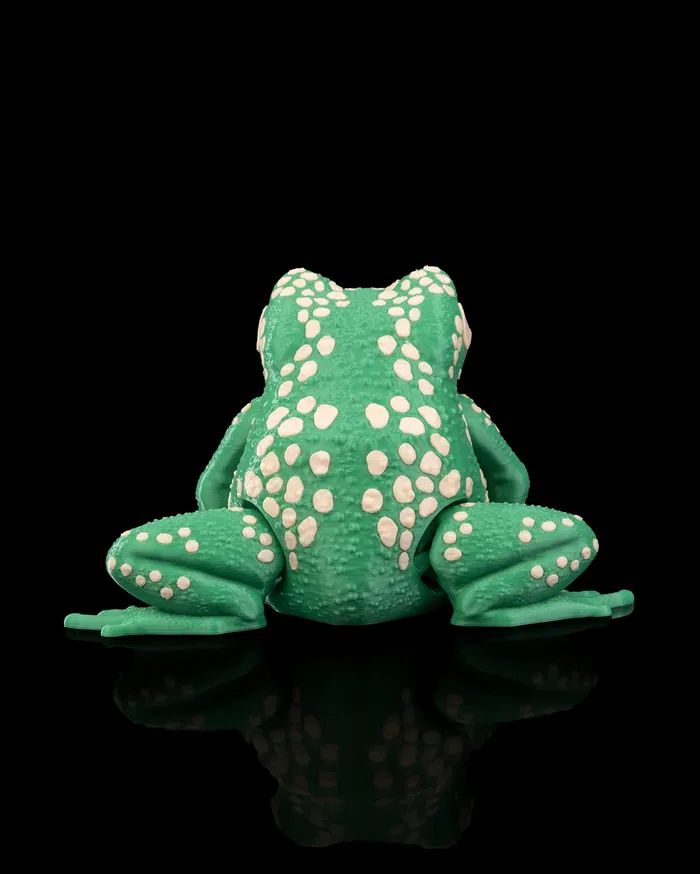 图片[2]-甘蔗蟾蜍 Cane Toad-3D合纵社-3D打印模型STL格式3mf格式免费下载！