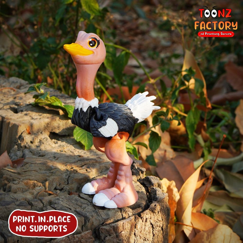 图片[4]-鸵鸟 toonz factory FLEXI OSTRICH PACKAGE-3D合纵社-3D打印模型STL格式3mf格式免费下载！