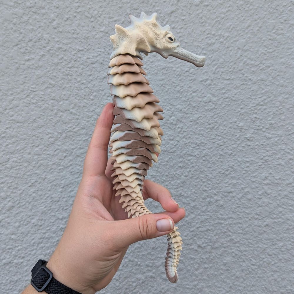 图片[2]-海马 Seahorse-3D合纵社-3D打印模型STL格式3mf格式免费下载！