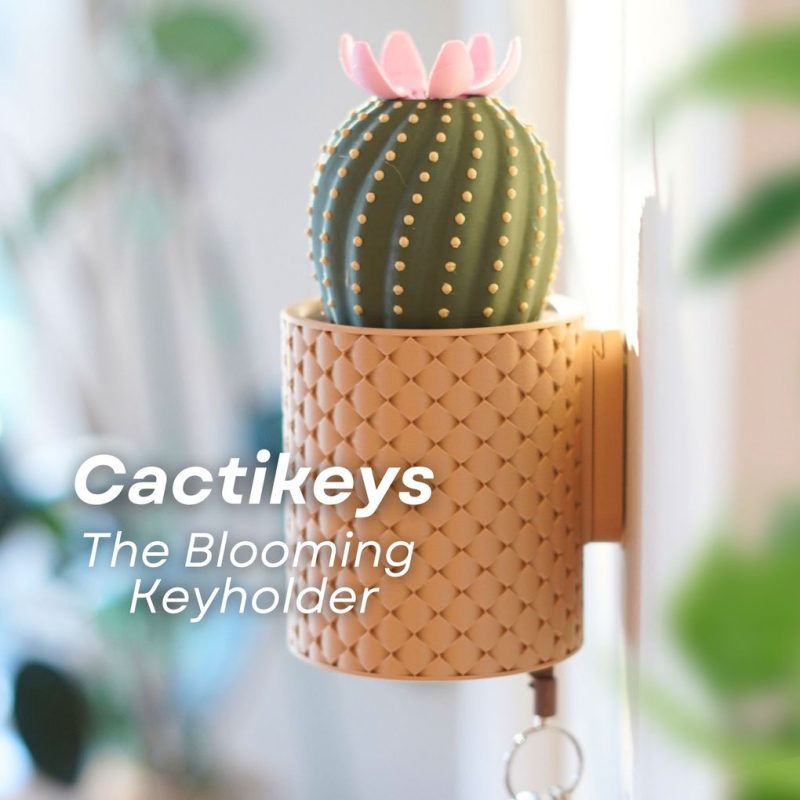 仙人球 钥匙挂钩 CactiKeys – The Blooming Wall Mounted Keyholder-3D合纵社-3D打印模型STL格式3mf格式免费下载！