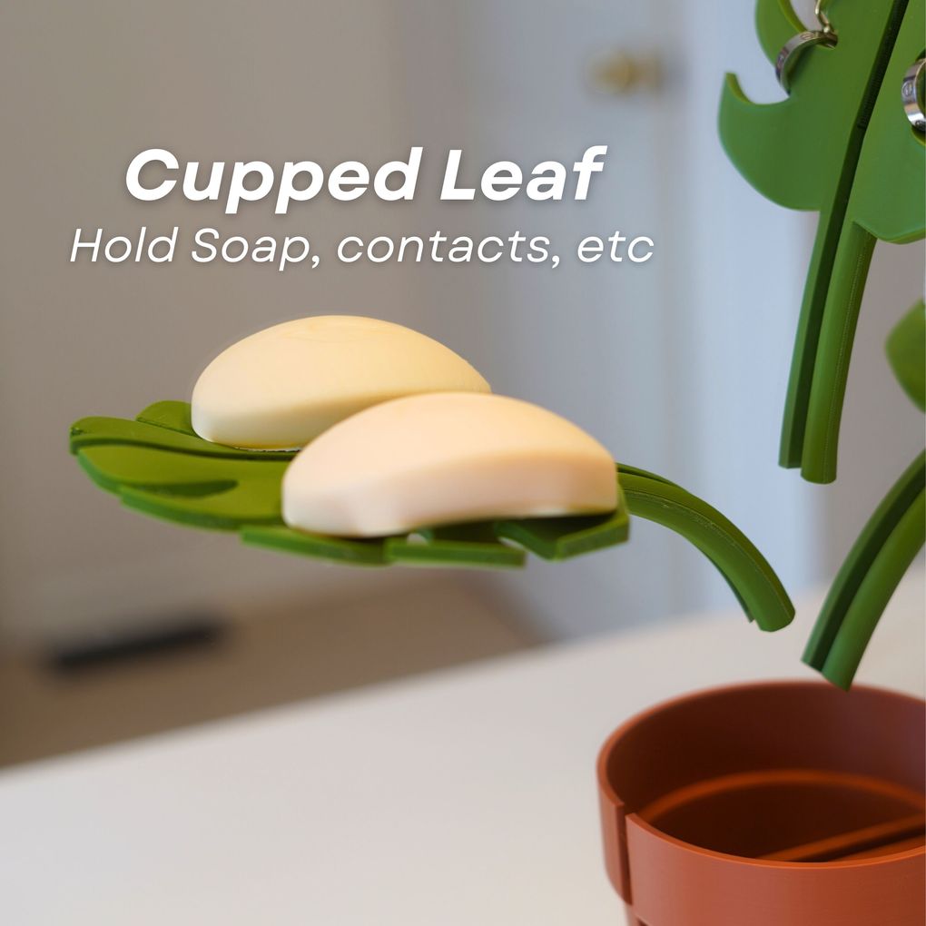 图片[4]-牙刷植物架 ForgeCore- Mirrors Monstera @Print3DWorld-3D合纵社-3D打印模型STL格式3mf格式免费下载！