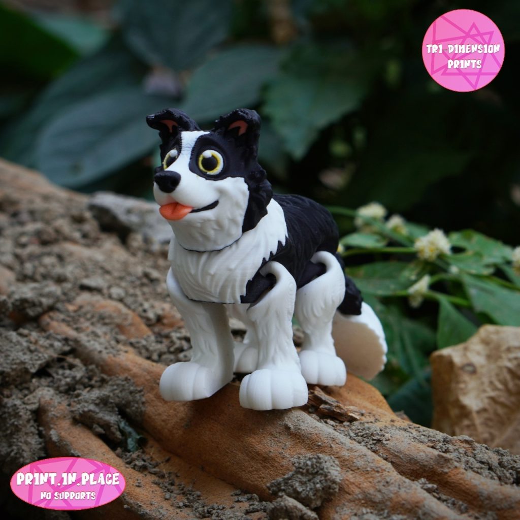 边牧 BORDER COLLIE FLEXY-3D合纵社-3D打印模型STL格式3mf格式免费下载！
