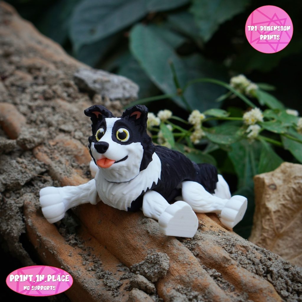 图片[3]-边牧 BORDER COLLIE FLEXY-3D合纵社-3D打印模型STL格式3mf格式免费下载！