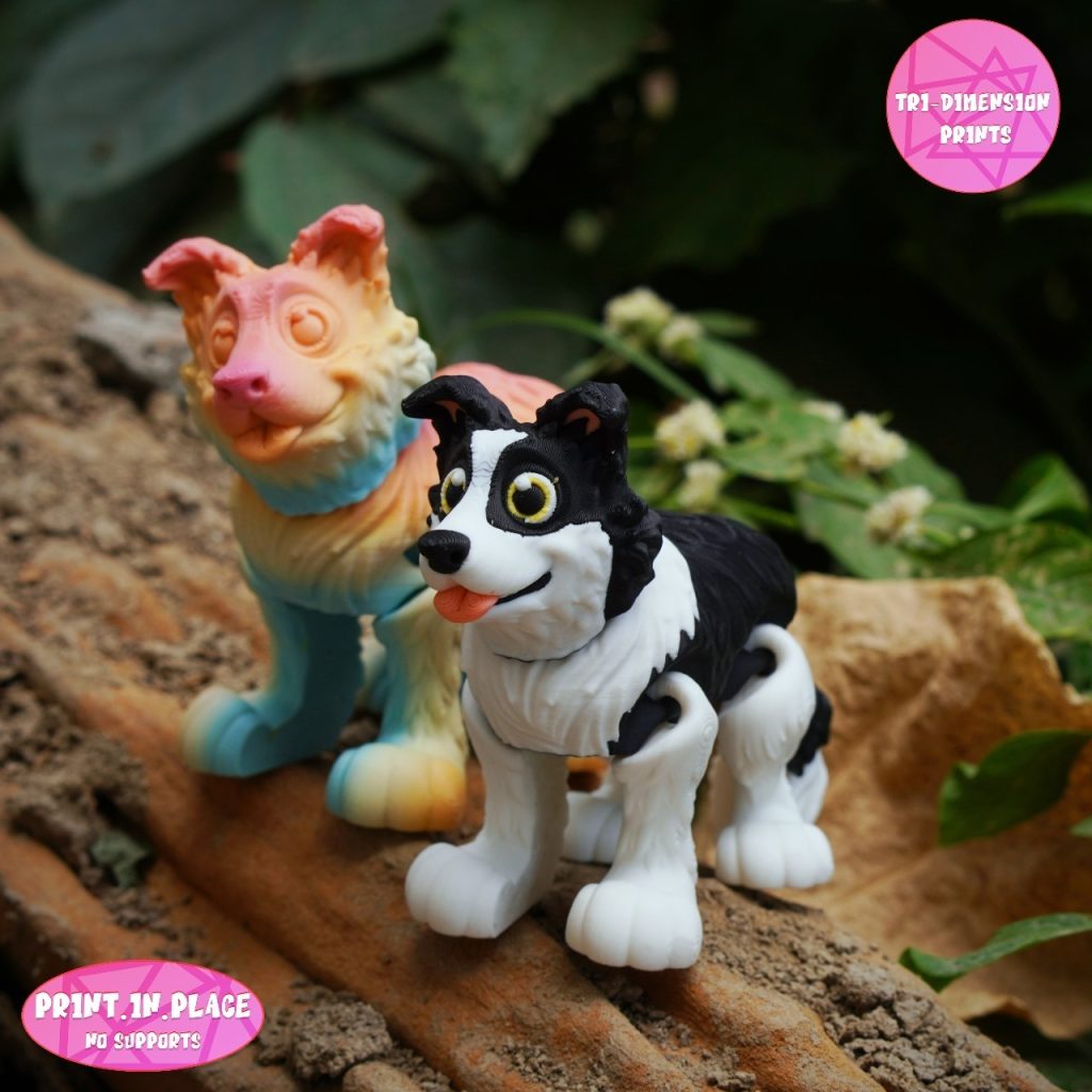 图片[2]-边牧 BORDER COLLIE FLEXY-3D合纵社-3D打印模型STL格式3mf格式免费下载！