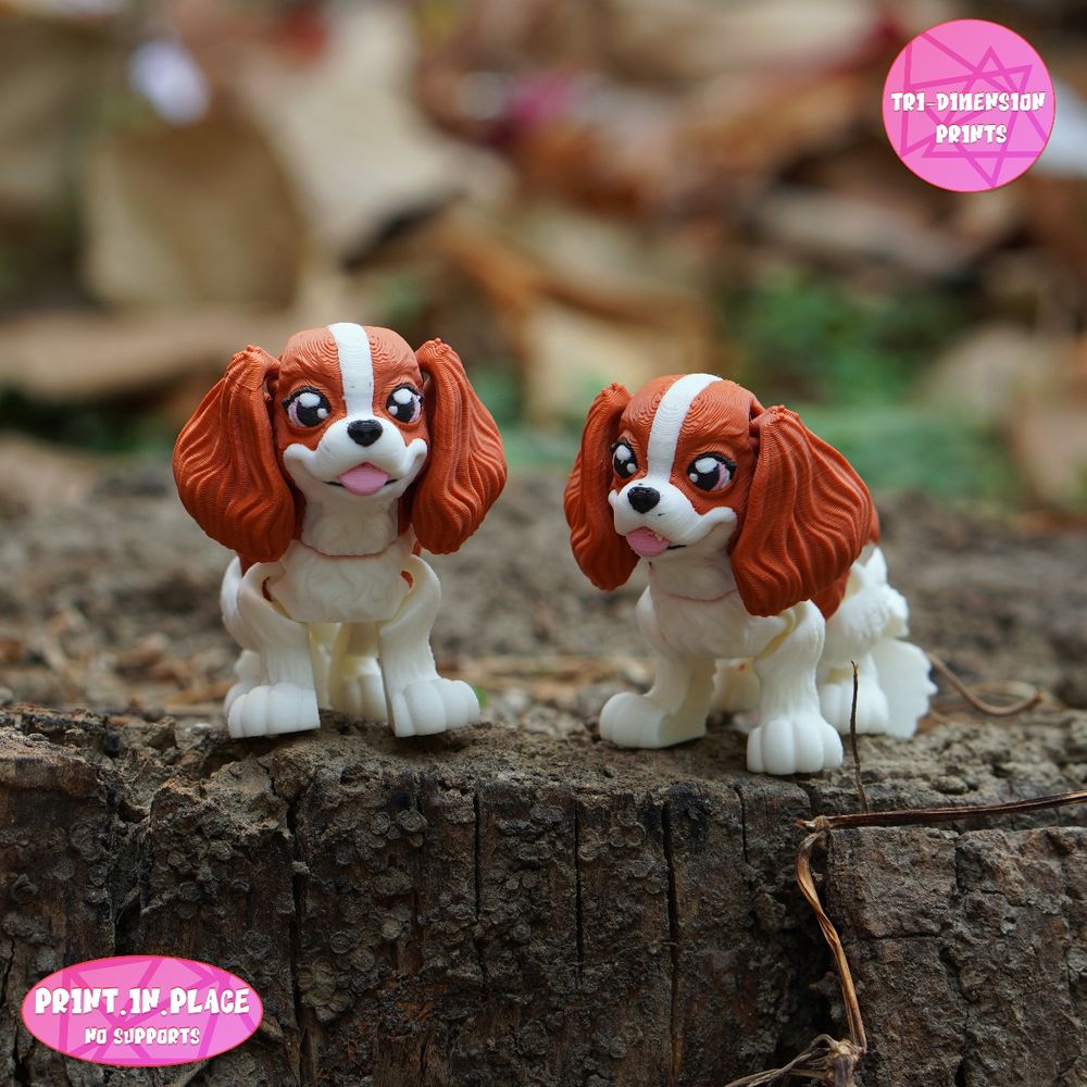 骑士查理王小猎犬 Flexi King Charles Cavalier-3D合纵社-3D打印模型STL格式3mf格式免费下载！