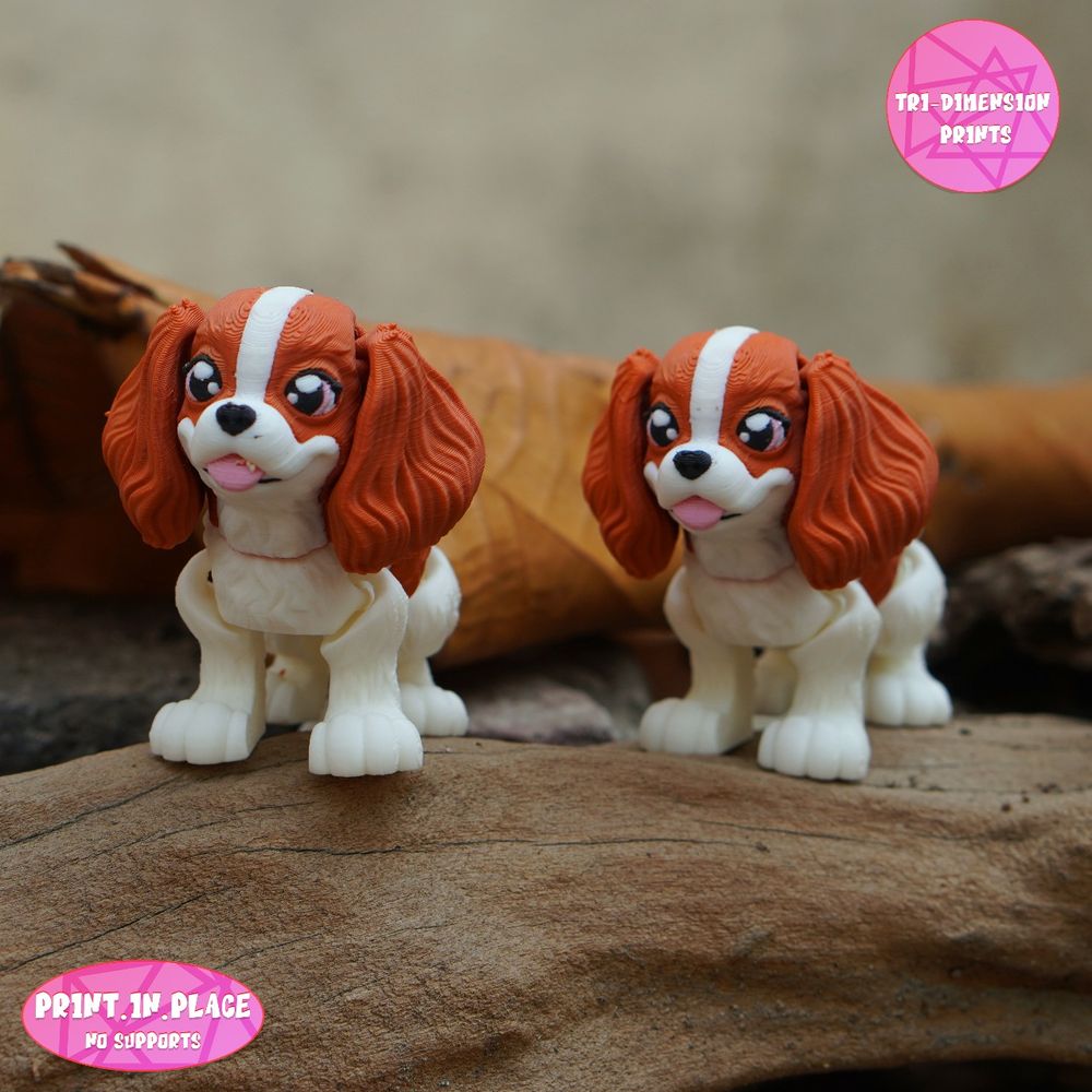 图片[4]-骑士查理王小猎犬 Flexi King Charles Cavalier-3D合纵社-3D打印模型STL格式3mf格式免费下载！