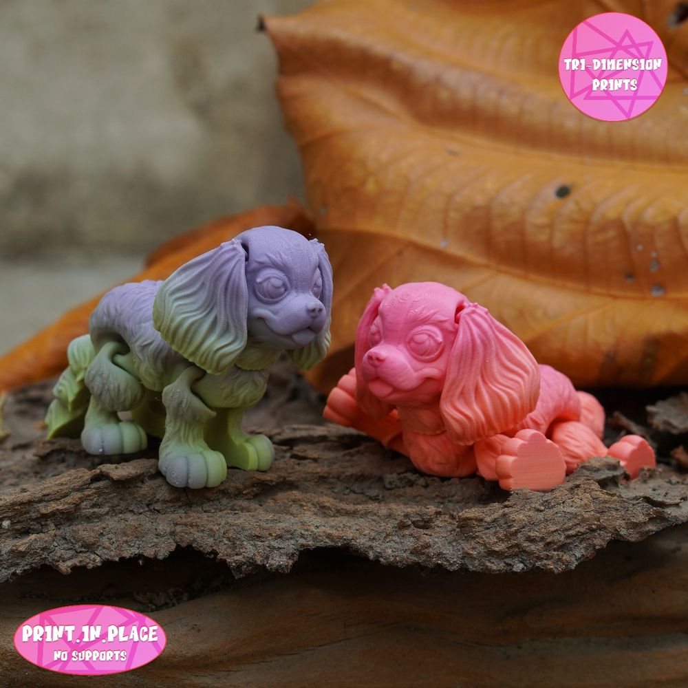 图片[3]-骑士查理王小猎犬 Flexi King Charles Cavalier-3D合纵社-3D打印模型STL格式3mf格式免费下载！