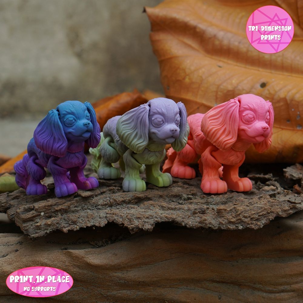 图片[2]-骑士查理王小猎犬 Flexi King Charles Cavalier-3D合纵社-3D打印模型STL格式3mf格式免费下载！