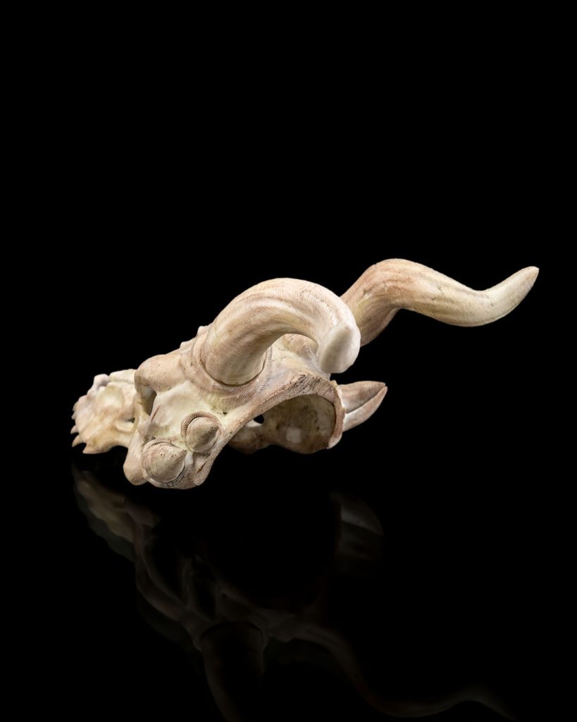 图片[2]-骸骨战利品发簪  StlFlix- Bone Trophy Hair Pin @Print3DWorld-3D合纵社-3D打印模型STL格式3mf格式免费下载！