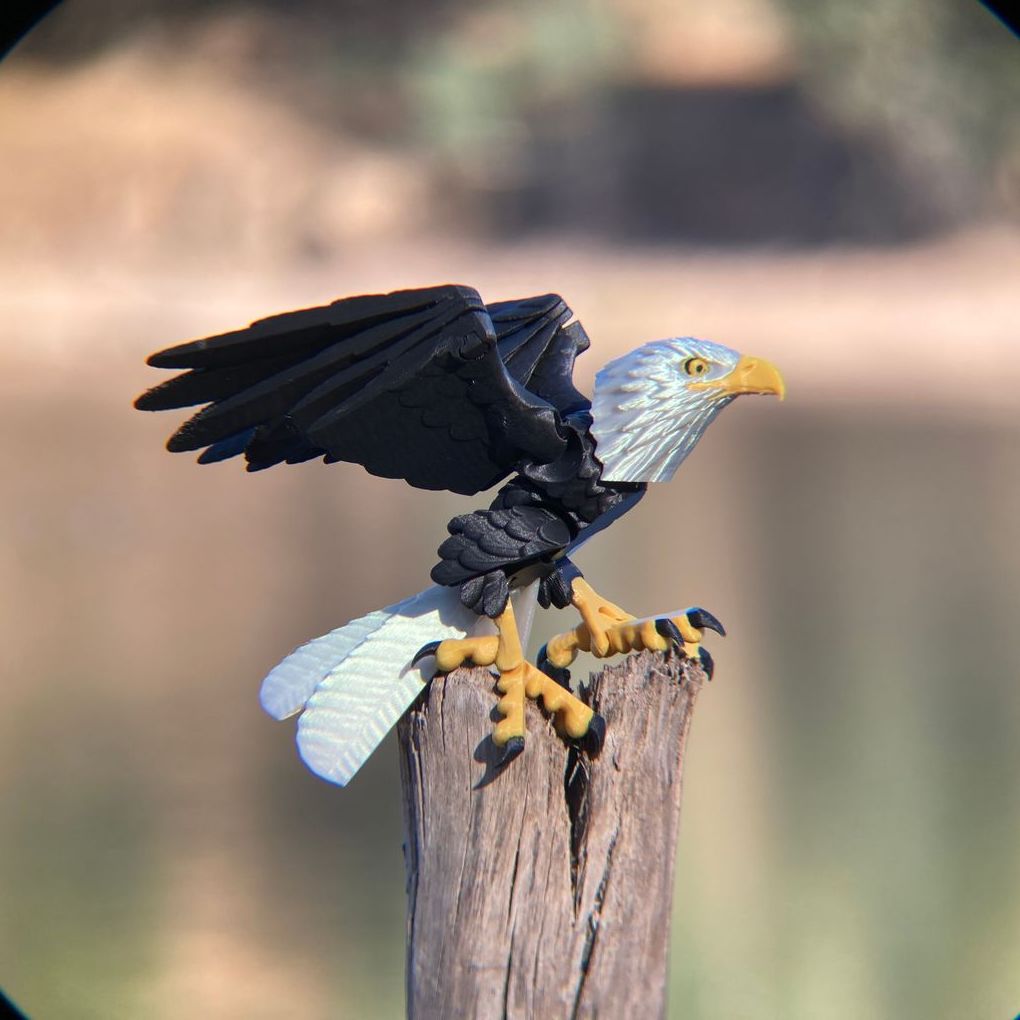 图片[2]-鹰-3D合纵社-3D打印模型STL格式3mf格式免费下载！