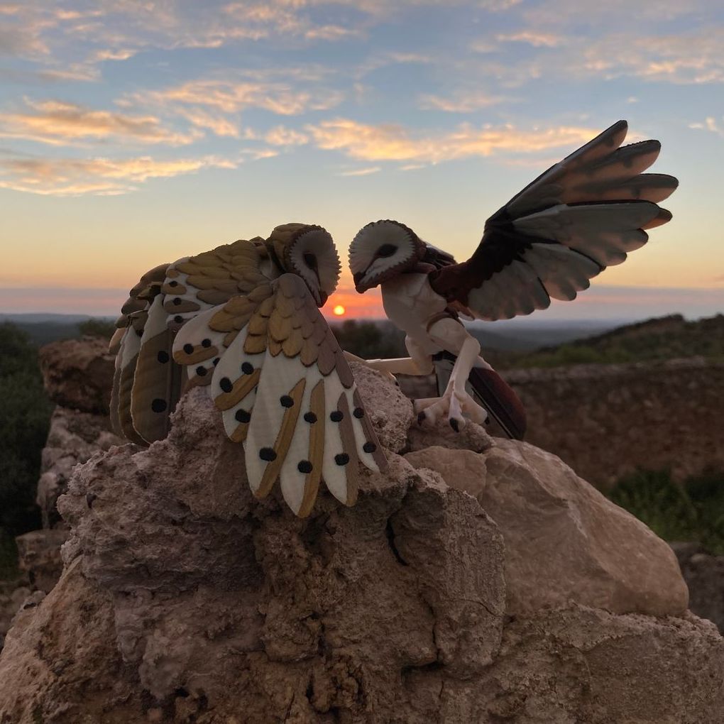 图片[2]-仓鸮 Barn owl multicolor-3D合纵社-3D打印模型STL格式3mf格式免费下载！