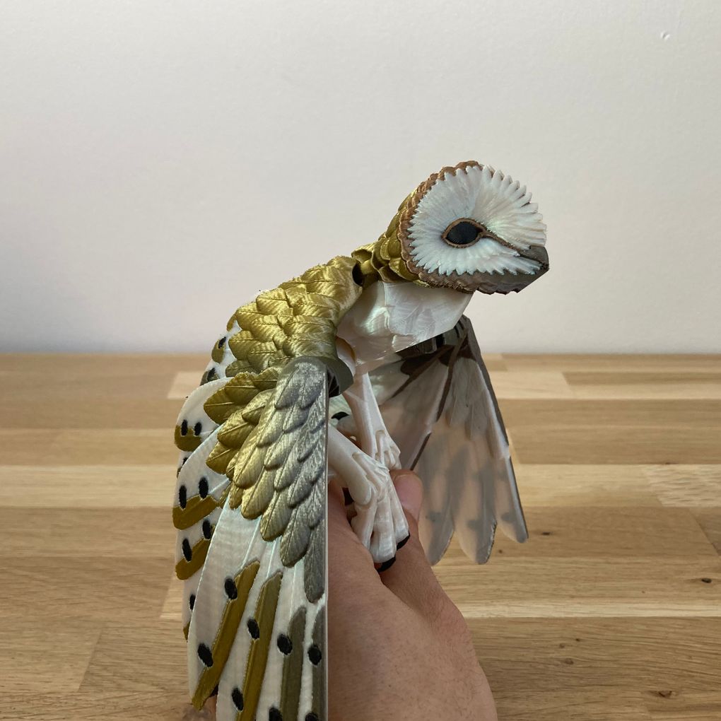 图片[3]-仓鸮 Barn owl multicolor-3D合纵社-3D打印模型STL格式3mf格式免费下载！