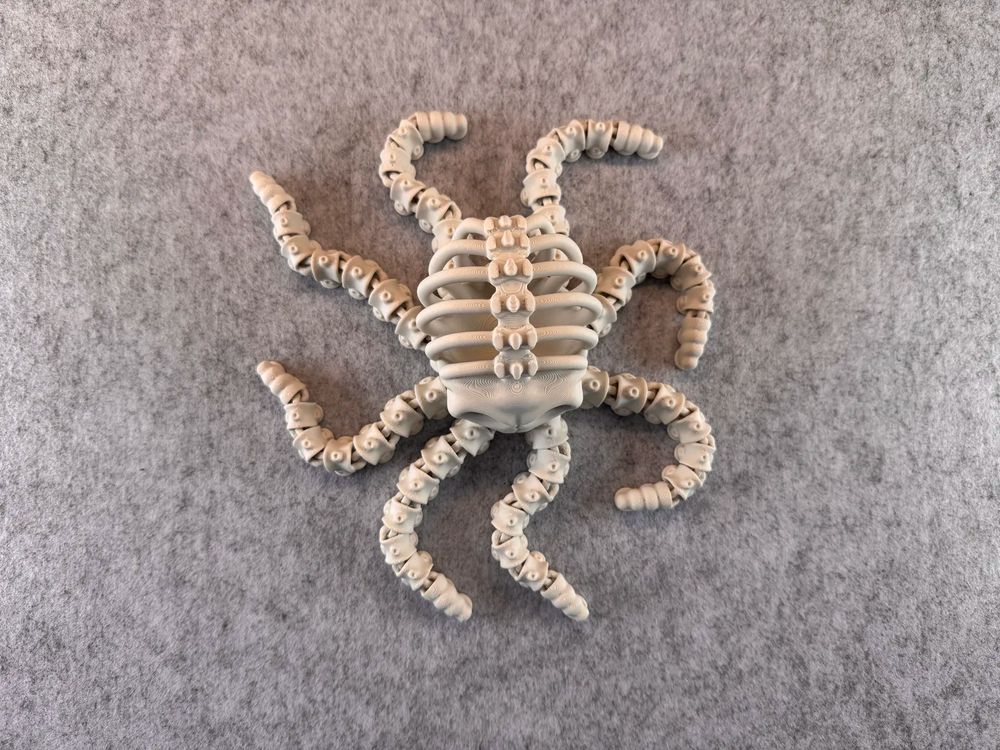 图片[4]-骷髅章鱼 Articulated Skeleton Octopus-3D合纵社-3D打印模型STL格式3mf格式免费下载！