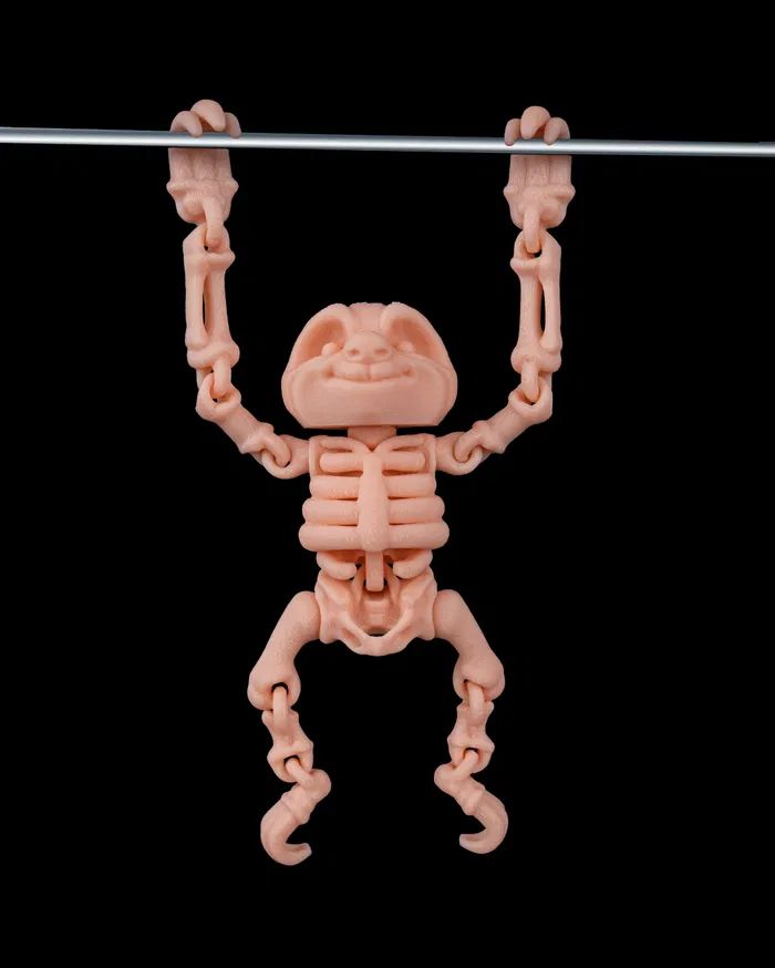 图片[2]-骨架树懒Skeleton Sloth-3D合纵社-3D打印模型STL格式3mf格式免费下载！