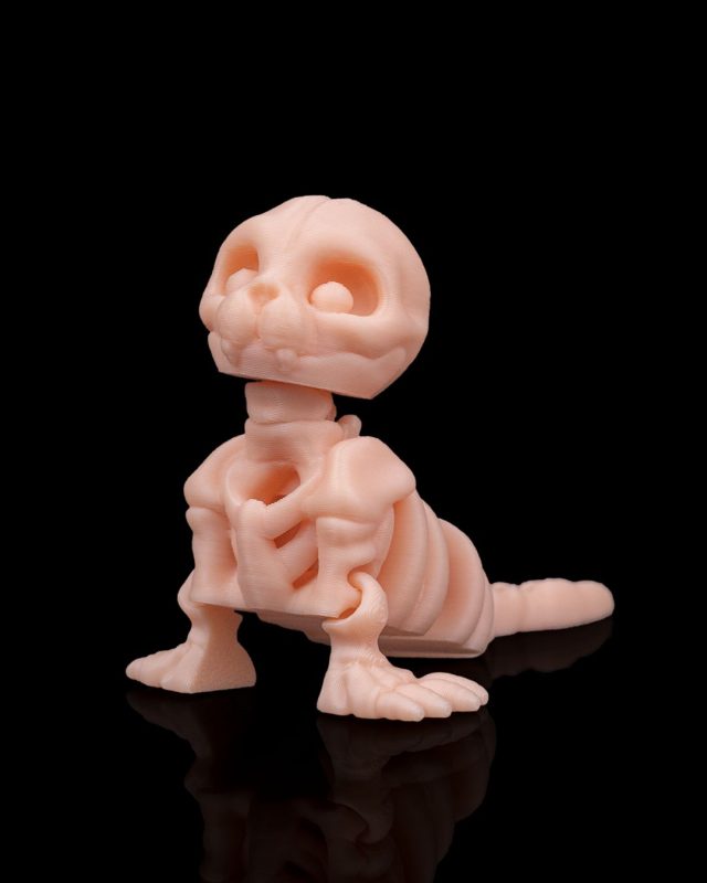 骨架海豹Skeleton Seal-3D合纵社-3D打印模型STL格式3mf格式免费下载!