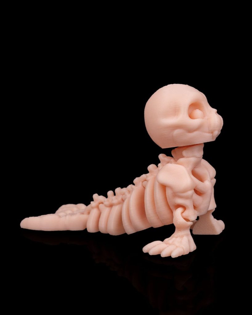 图片[4]-骨架海豹Skeleton Seal-3D合纵社-3D打印模型STL格式3mf格式免费下载！