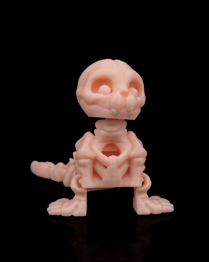 图片[3]-骨架海豹Skeleton Seal-3D合纵社-3D打印模型STL格式3mf格式免费下载！