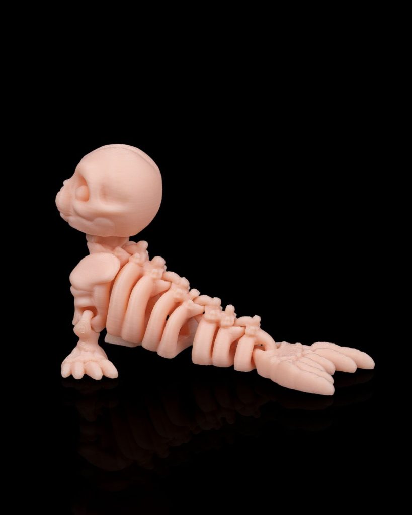 图片[2]-骨架海豹Skeleton Seal-3D合纵社-3D打印模型STL格式3mf格式免费下载！