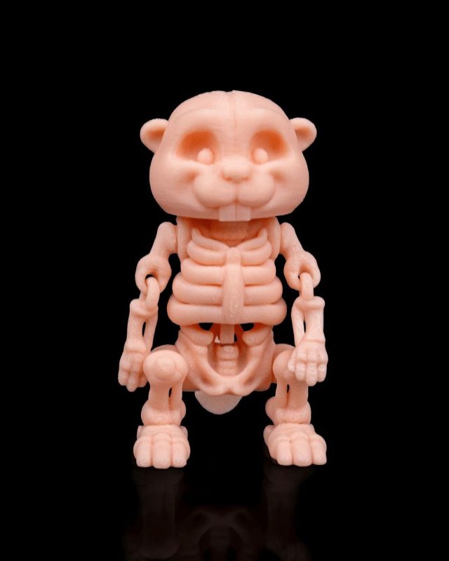 骨架河狸-3D合纵社-3D打印模型STL格式3mf格式免费下载！