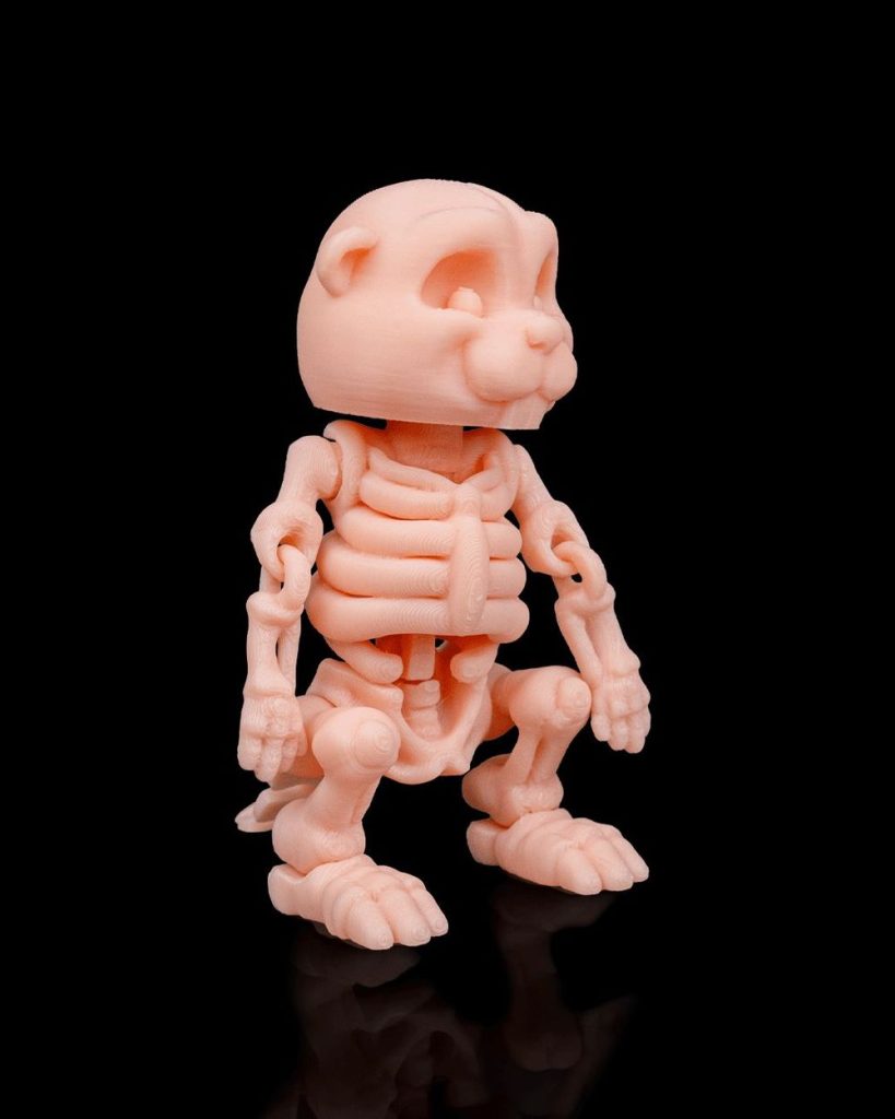 图片[4]-骨架河狸-3D合纵社-3D打印模型STL格式3mf格式免费下载！