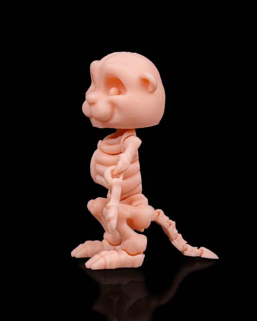 图片[2]-骨架河狸-3D合纵社-3D打印模型STL格式3mf格式免费下载！