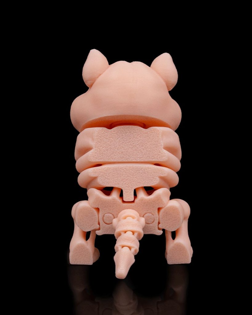 图片[3]-骨架仓鼠Skeleton Hamster-3D合纵社-3D打印模型STL格式3mf格式免费下载！